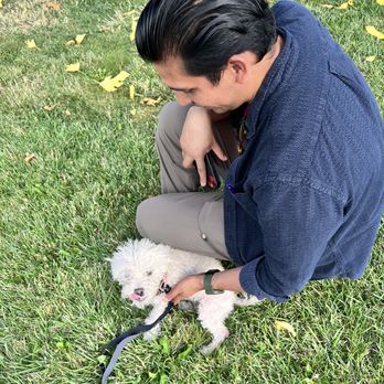 Mid Valley Veterinary Hospital - Recovering - Veterinarians Near Me - Van Nuys, California Mid Valley Veterinary Hospital - Recovering - Veterinarians Near Me - Van Nuys, California