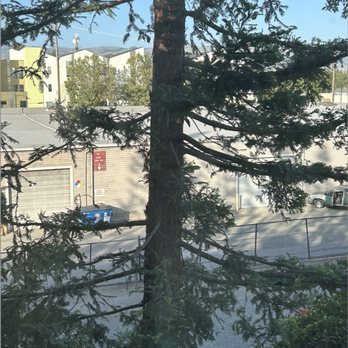 Tree65 Tree Care - Tree Services Near Me
