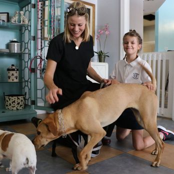 Paws 4 Play - Dropping off Penny for boarding. - Pet Groomers Near Me - Tequesta, Florida