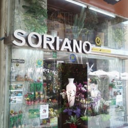 Soriano - Daniel N