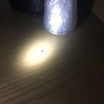 Primm Valley Resort - Mouse poop - Hotels Near Me - Primm, Nevada