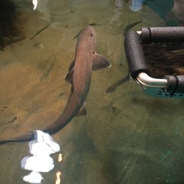 Maine State Aquarium July 2016 Maine State Aquarium July 2016