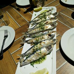 La Gambita - Sardinas