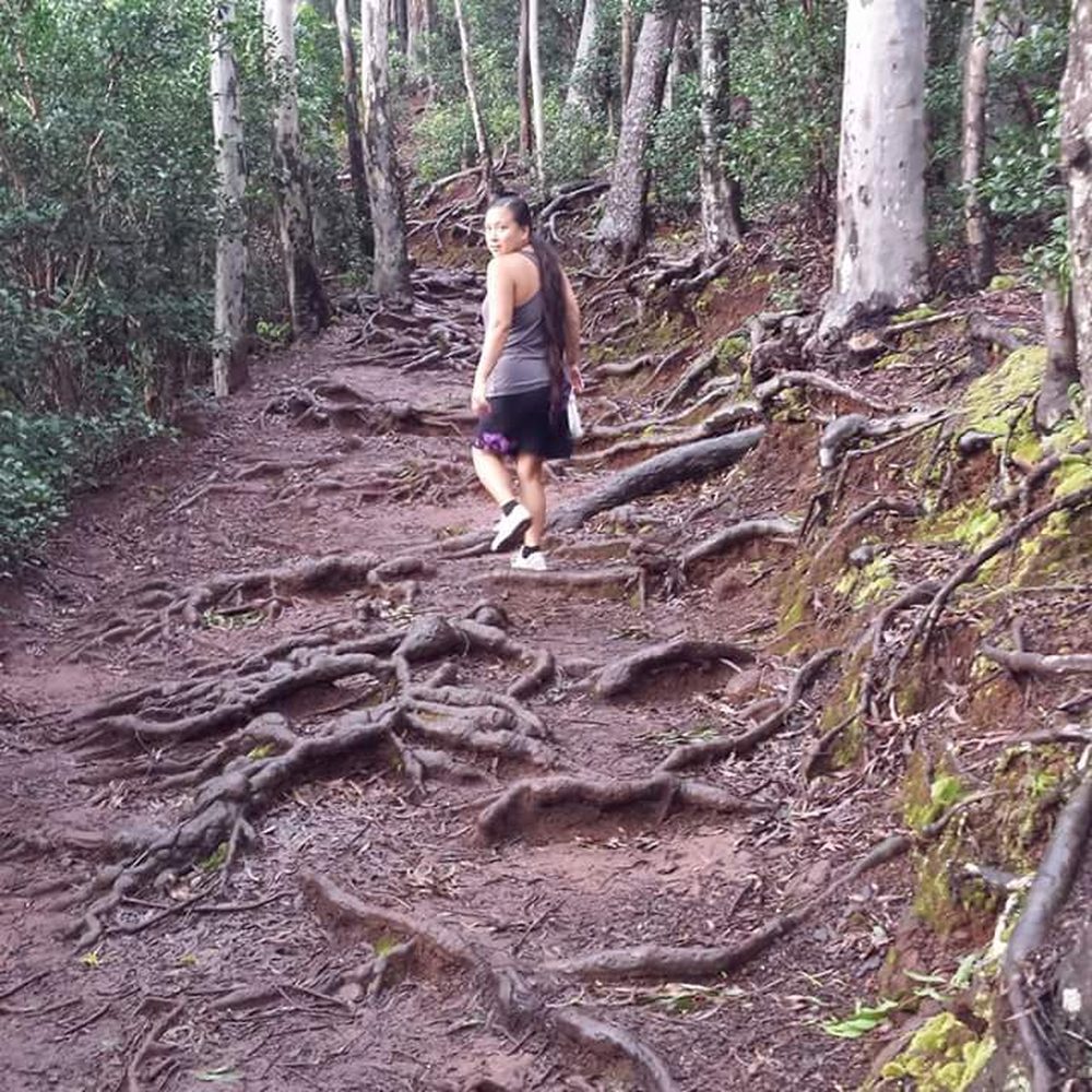 Aiea Loop Trail - What looks like an obstacle course of roots proves to be a life saver in the slipperiest parts of the forest. - Hiking Near Me - Aiea, Hawaii