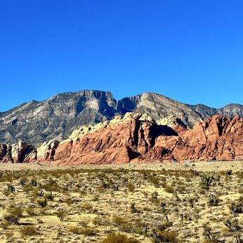 Pink Jeep Tours - Travel Services Near Me - Las Vegas, Nevada Pink Jeep Tours - Travel Services Near Me - Las Vegas, Nevada