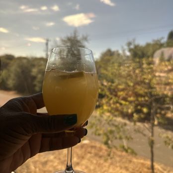 Napa Valley Wine Train - A glimpse of the country side - New American Near Me - Napa, California