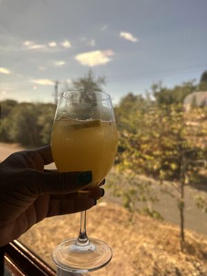 Napa Valley Wine Train by null