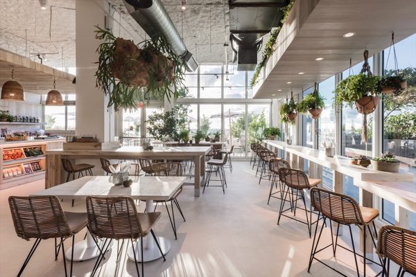 Plnthouse by null