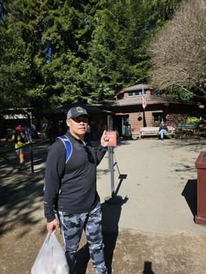 Muir Woods National Monument by null