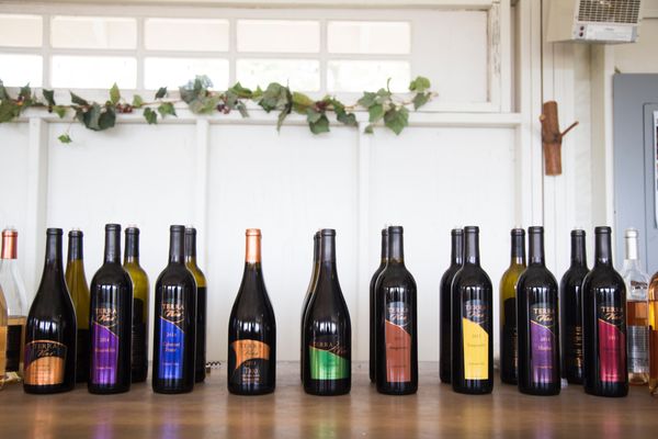 Terra Vina Wines Vineyard by null