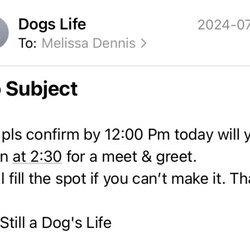 It's Still A Dogs Life Services - Their email the day of July 27th.