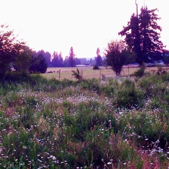 Moulton Falls Winery - Serene environment - Music Venues Near Me - Yacolt, Washington