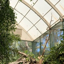 Butterfly Jungle