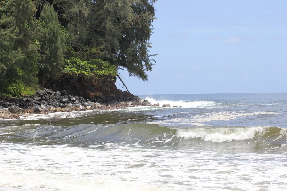 PINKY’S BEACH Updated August 2024 45 Silverton Camp Mill Rd