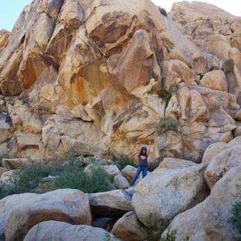 Indian Cove Campground - Campgrounds Near Me - Twentynine Palms, California