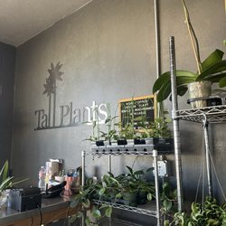 Tall Plants