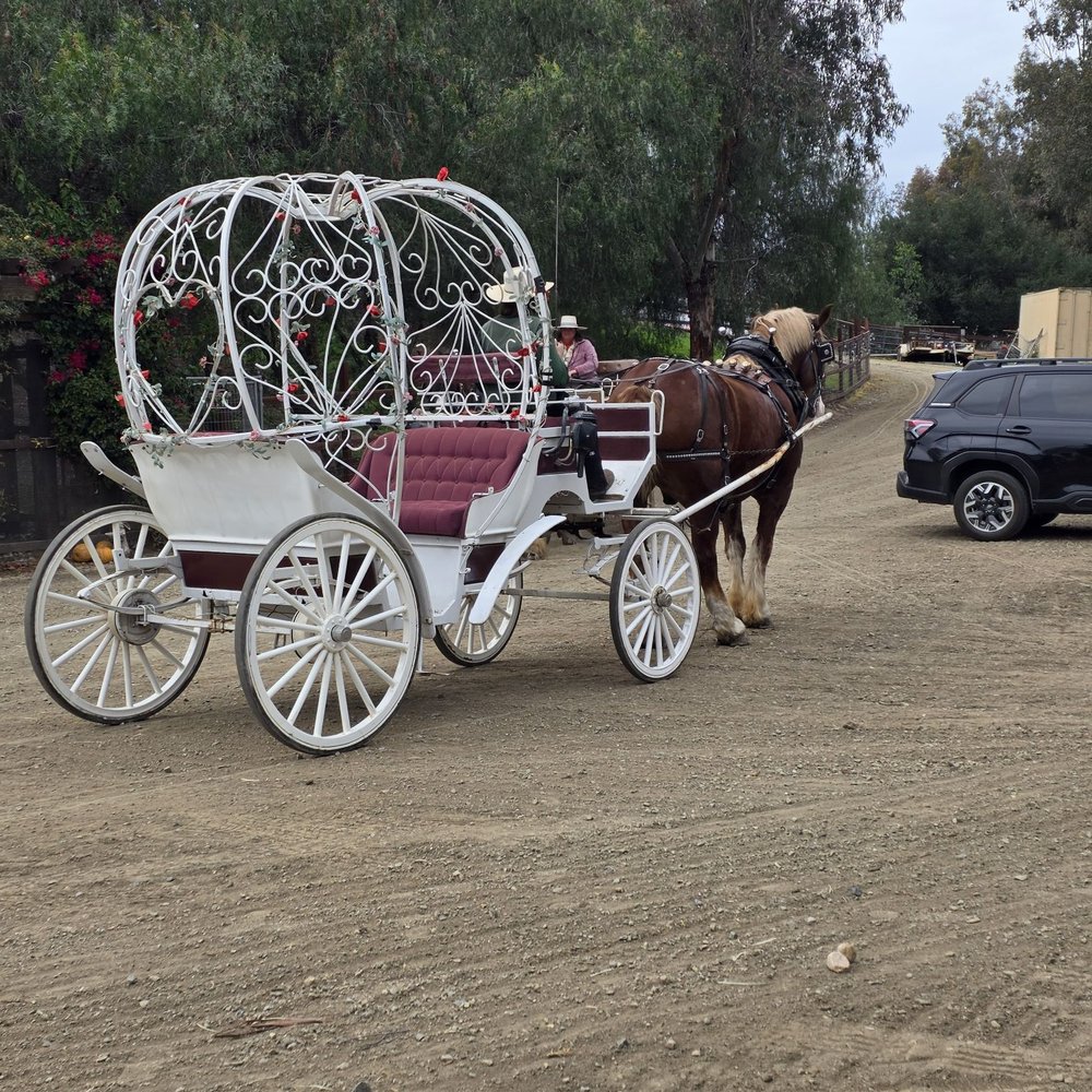 Temecula Carriage Company - Wine Tours Near Me - Temecula, California Temecula Carriage Company - Wine Tours Near Me - Temecula, California