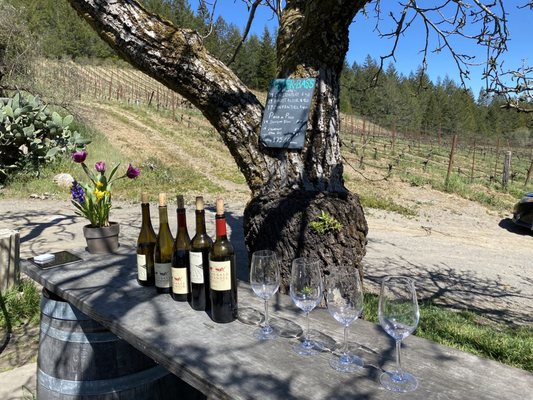 Porter-Bass Winery by null