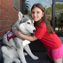 Camp Helping Hands - Therapy Dogs, Inc. taught campers about the importance of therapy animals and the many ways they improve the lives of humans.