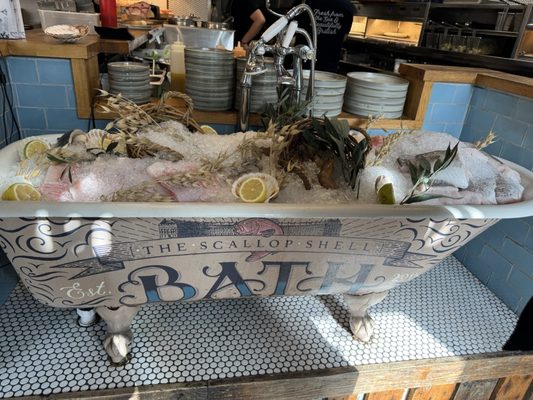 The Scallop Shell by null