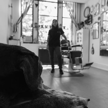 A Lucky Cut - Barbers Near Me - Beacon, New York A Lucky Cut - Barbers Near Me - Beacon, New York