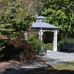 Collins Lane Park