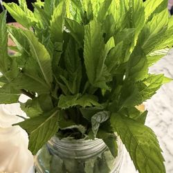 Piccolo Trattoria