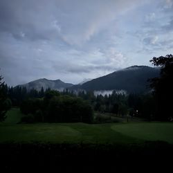The Courses