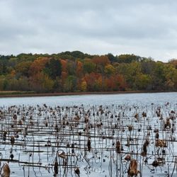UW-Madison Lakeshore Nature Preserve