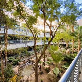Agave Counseling Services - © Agave Counseling Services. Additional perspective of your view of the atrium on your way to your counseling sessions. - Counseling & Mental Health Near Me - Glendale, Arizona Agave Counseling Services - © Agave Counseling Services. Additional perspective of your view of the atrium on your way to your counseling sessions. - Counseling & Mental Health Near Me - Glendale, Arizona