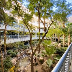 Agave Counseling Services - © Agave Counseling Services.                      Additional perspective of your view of the atrium on your way to your counseling sessions.