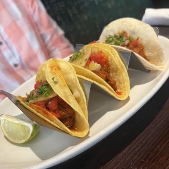 Wild Salsa - Al Pastor Tacos - Mexican Near Me - Fort Worth, Texas Wild Salsa - Al Pastor Tacos - Mexican Near Me - Fort Worth, Texas