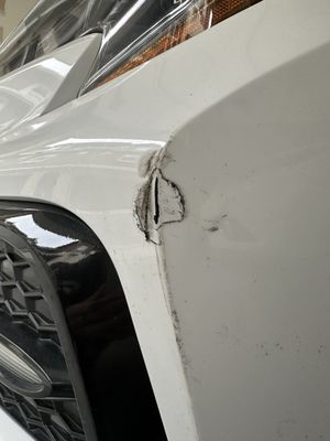 Professional Auto Body & Paint