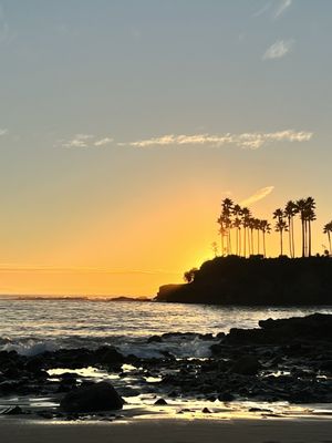 Hotel Joaquin by null