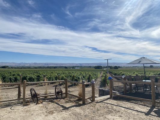 Hat Ranch Winery by null