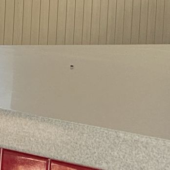 Wienerschnitzel - Flies on front counter - Hot Dogs Near Me - Odessa, Texas