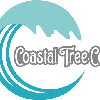 Coastal Tree - Call us today!!! 251-800-1336. - Tree Services Near Me Coastal Tree - Call us today!!! 251-800-1336. - Tree Services Near Me