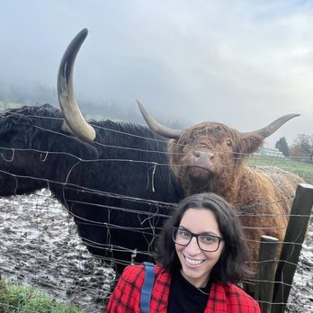 The Hairy Coo - Tours Near Me - Edinburgh, EDH