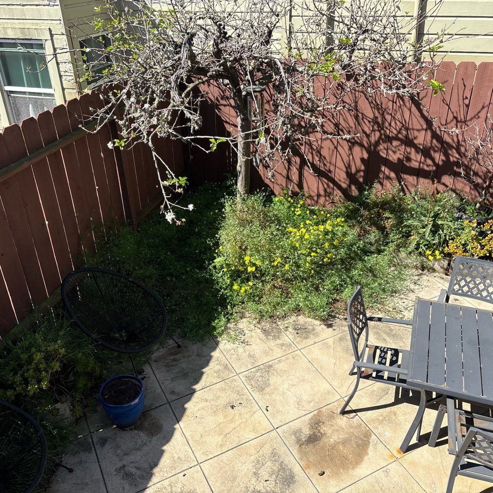 RCR Gardening Services - Before - Tree Services Near Me RCR Gardening Services - Before - Tree Services Near Me