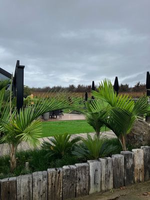 Wild Estate - The Untamed Winery by null