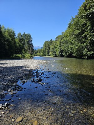 Dosewallips State Park by null