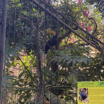 Honolulu Zoo - Zoos Near Me - Honolulu, Hawaii