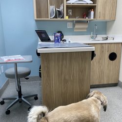 Intermountain Pet Hospital, Overland - In the exam room