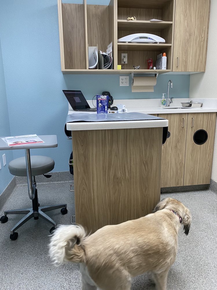 Intermountain Pet Hospital, Overland - pet boarding facility in Meridian, ID