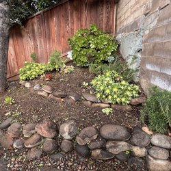 Campos Landscaping and Tree Service - This is what it looked like after he was done, I'm very pleased with how it turned out.
