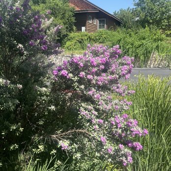 Camp Lucy - Sage - Venues & Event Spaces Near Me - Dripping Springs, Texas Camp Lucy - Sage - Venues & Event Spaces Near Me - Dripping Springs, Texas