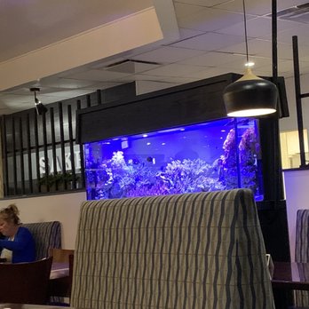 Sake Thai & Sushi Bar - Inside - Thai Near Me - Hollywood, Florida Sake Thai & Sushi Bar - Inside - Thai Near Me - Hollywood, Florida