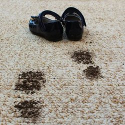 Kidds Quality Cleaning - untitled