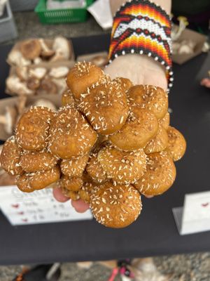 Montavilla Farmers Market by null