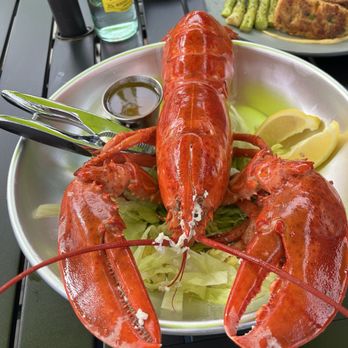 Pinchy's Lobster & Rawbar - Lobsta - Seafood Near Me - Boerne, Texas Pinchy's Lobster & Rawbar - Lobsta - Seafood Near Me - Boerne, Texas